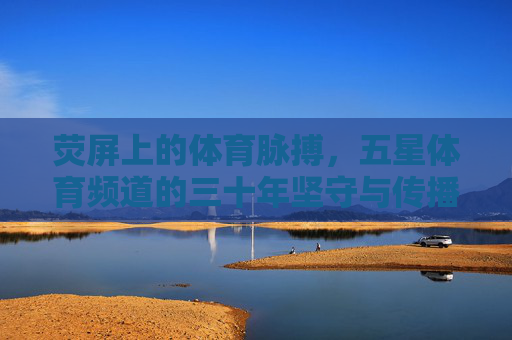 荧屏上的体育脉搏，五星体育频道的三十年坚守与传播，荧屏体育脉动，五星体育频道三十年坚守与传播