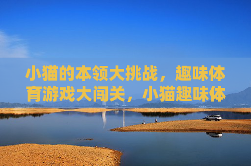 小猫的本领大挑战,趣味体育游戏大闯关,小猫趣味体育大闯关 小猫的本领大挑战,趣味体育游戏大闯关,小猫趣味体育大闯关