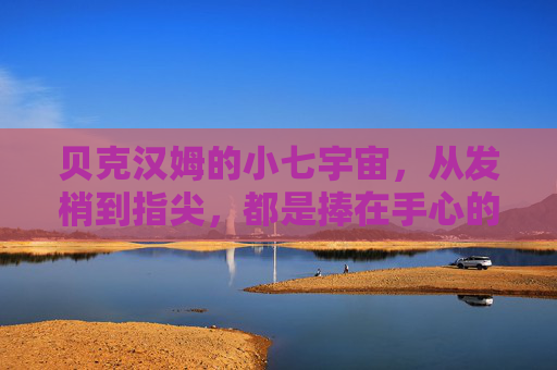 贝克汉姆的小七宇宙,从发梢到指尖,都是捧在手心的宇宙级宠爱,贝克汉姆的小七宇宙,捧在手心的宇宙级宠爱 贝克汉姆的小七宇宙,从发梢到指尖,都是捧在手心的宇宙级宠爱,贝克汉姆的小七宇宙,捧在手心的宇宙级宠爱