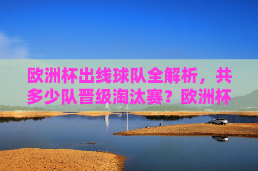欧洲杯出线球队全解析，共多少队晋级淘汰赛？欧洲杯出线球队全解析，共多少队晋级淘汰赛？