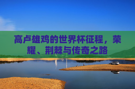 高卢雄鸡的世界杯征程,荣耀、荆棘与传奇之路 高卢雄鸡的世界杯征程,荣耀、荆棘与传奇之路