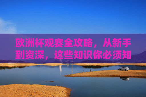 欧洲杯观赛全攻略,从新手到资深,这些知识你必须知道!欧洲杯观赛全攻略,从新手到资深必看知识 欧洲杯观赛全攻略,从新手到资深,这些知识你必须知道!欧洲杯观赛全攻略,从新手到资深必看知识