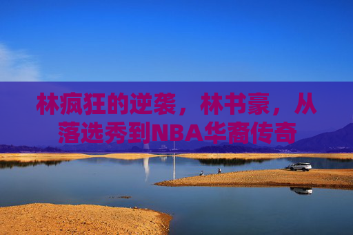 林疯狂的逆袭，林书豪，从落选秀到NBA华裔传奇