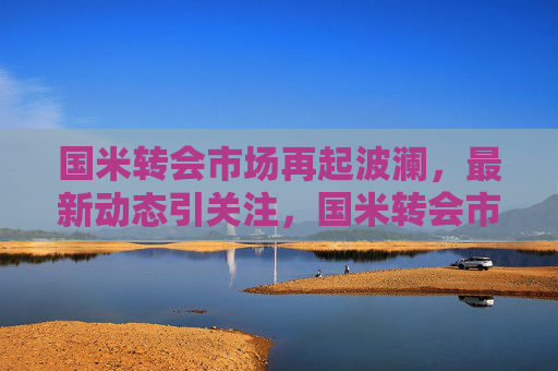 国米转会市场再起波澜,最新动态引关注,国米转会市场波澜再起 最新动态受关注 国米转会市场再起波澜,最新动态引关注,国米转会市场波澜再起 最新动态受关注