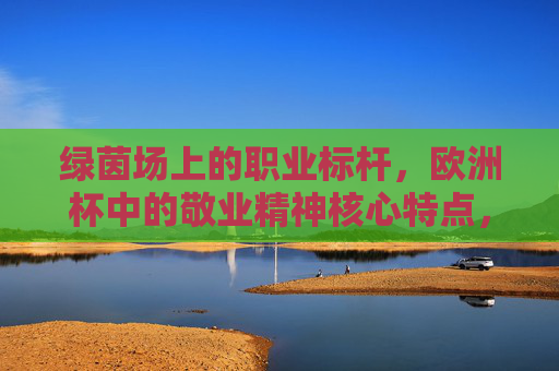 绿茵场上的职业标杆,欧洲杯中的敬业精神核心特点,绿茵场上的职业标杆,欧洲杯敬业精神的核心 绿茵场上的职业标杆,欧洲杯中的敬业精神核心特点,绿茵场上的职业标杆,欧洲杯敬业精神的核心