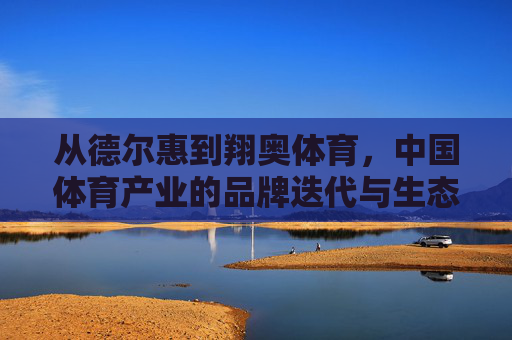 从德尔惠到翔奥体育,中国体育产业的品牌迭代与生态重构,从德尔惠到翔奥体育,中国体育产业的品牌迭代与生态重构 从德尔惠到翔奥体育,中国体育产业的品牌迭代与生态重构,从德尔惠到翔奥体育,中国体育产业的品牌迭代与生态重构