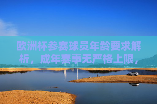欧洲杯参赛球员年龄要求解析，成年赛事无严格上限，青年赛事有明确标准，欧洲杯球员年龄要求，成年无上限，青年有明确标准