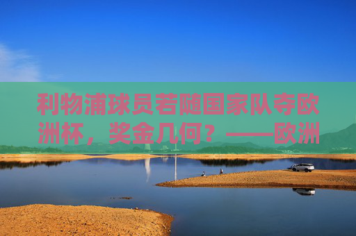 利物浦球员若随国家队夺欧洲杯，奖金几何？——欧洲杯冠军奖励全解析，利物浦球员欧洲杯冠军奖金几何？