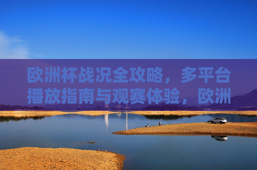 欧洲杯战况全攻略，多平台播放指南与观赛体验，欧洲杯战况全攻略，多平台播放指南与观赛体验