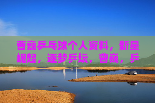 曹巍乒乓球个人资料，新星崛起，逐梦乒坛，曹巍，乒乓新星崛起，逐梦乒坛