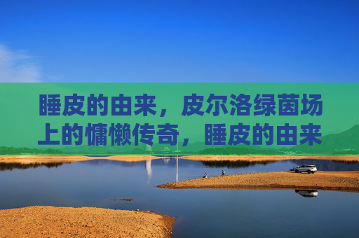 睡皮的由来，皮尔洛绿茵场上的慵懒传奇，睡皮的由来，皮尔洛绿茵场上的慵懒传奇