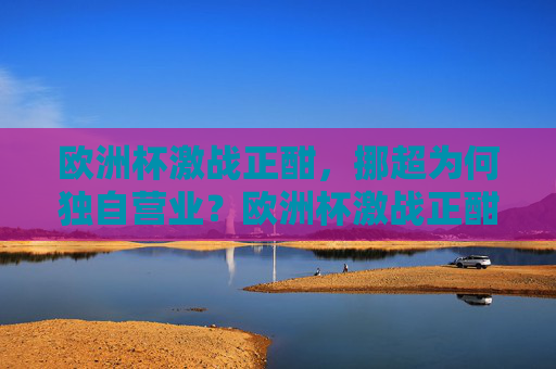 欧洲杯激战正酣，挪超为何独自营业？欧洲杯激战正酣，挪超为何独自营业？