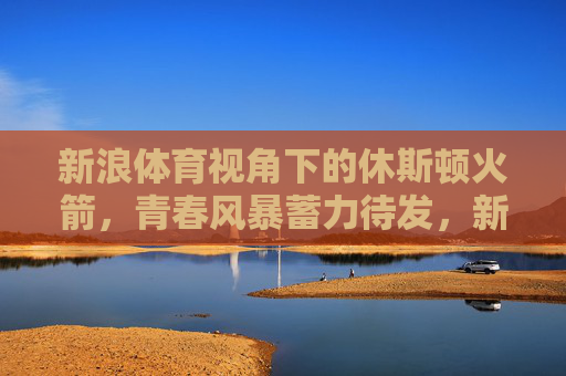 新浪体育视角下的休斯顿火箭，青春风暴蓄力待发，新征程的期待与挑战，新浪体育视角，休斯顿火箭青春风暴蓄力待发，新征程期待与挑战