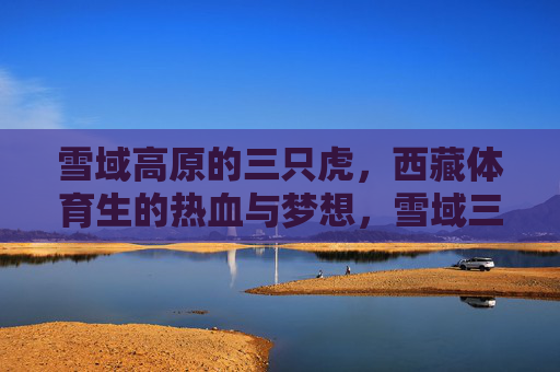 雪域高原的三只虎,西藏体育生的热血与梦想,雪域三虎,西藏体育生的热血逐梦 雪域高原的三只虎,西藏体育生的热血与梦想,雪域三虎,西藏体育生的热血逐梦