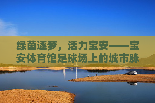 绿茵逐梦,活力宝安——宝安体育馆足球场上的城市脉动,绿茵脉动,活力宝安 绿茵逐梦,活力宝安——宝安体育馆足球场上的城市脉动,绿茵脉动,活力宝安