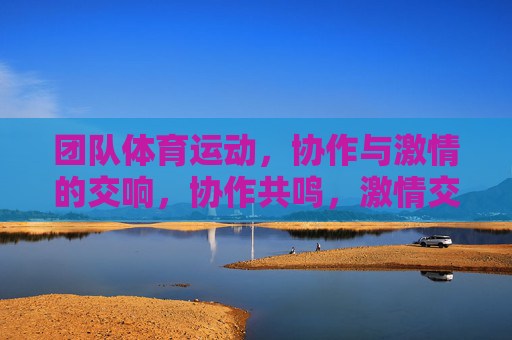 团队体育运动,协作与激情的交响,协作共鸣,激情交响 团队体育运动,协作与激情的交响,协作共鸣,激情交响