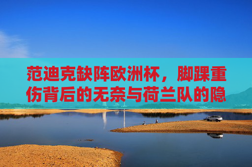 范迪克缺阵欧洲杯,脚踝重伤背后的无奈与荷兰队的隐忧,范迪克脚踝重伤缺阵欧洲杯,荷兰队隐忧浮现 范迪克缺阵欧洲杯,脚踝重伤背后的无奈与荷兰队的隐忧,范迪克脚踝重伤缺阵欧洲杯,荷兰队隐忧浮现