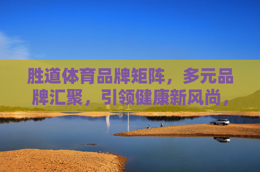 胜道体育品牌矩阵，多元品牌汇聚，引领健康新风尚，胜道体育多元品牌矩阵 引领健康新风尚