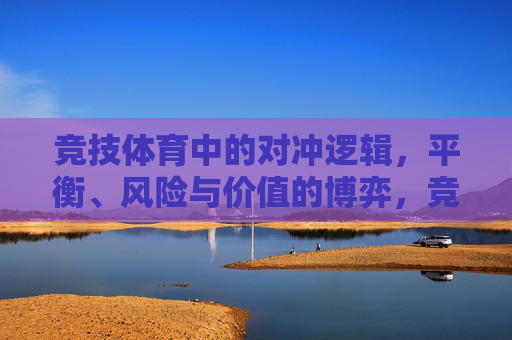 竞技体育中的对冲逻辑,平衡、风险与价值的博弈,竞技体育对冲逻辑,平衡、风险与价值的博弈 竞技体育中的对冲逻辑,平衡、风险与价值的博弈,竞技体育对冲逻辑,平衡、风险与价值的博弈