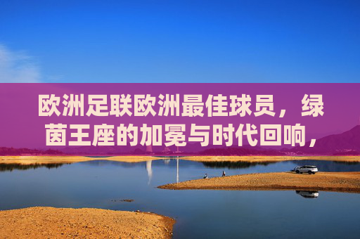 欧洲足联欧洲最佳球员，绿茵王座的加冕与时代回响，欧洲最佳球员，绿茵王座的加冕与时代回响