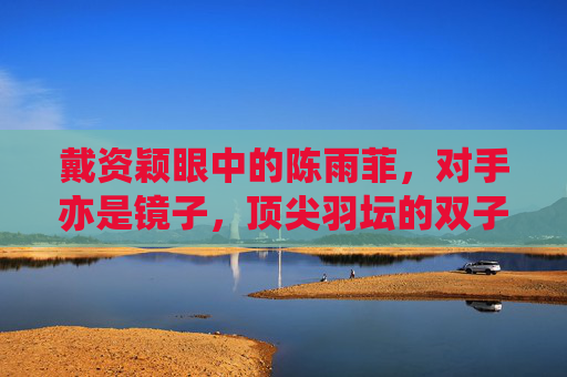 戴资颖眼中的陈雨菲，对手亦是镜子，顶尖羽坛的双子星辉，对手亦镜，双子星辉