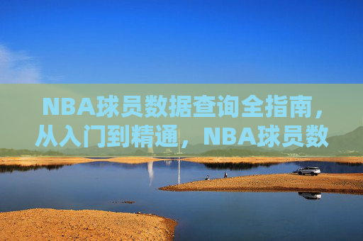 NBA球员数据查询全指南，从入门到精通，NBA球员数据查询全指南，从入门到精通