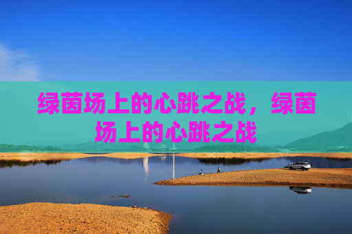 绿茵场上的心跳之战，绿茵场上的心跳之战