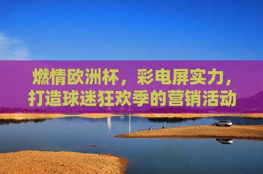 燃情欧洲杯，彩电屏实力，打造球迷狂欢季的营销活动方案，燃情欧洲杯，彩电屏实力打造球迷狂欢季营销活动
