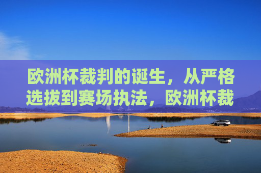 欧洲杯裁判的诞生,从严格选拔到赛场执法,欧洲杯裁判的诞生,严格选拔到赛场执法 欧洲杯裁判的诞生,从严格选拔到赛场执法,欧洲杯裁判的诞生,严格选拔到赛场执法