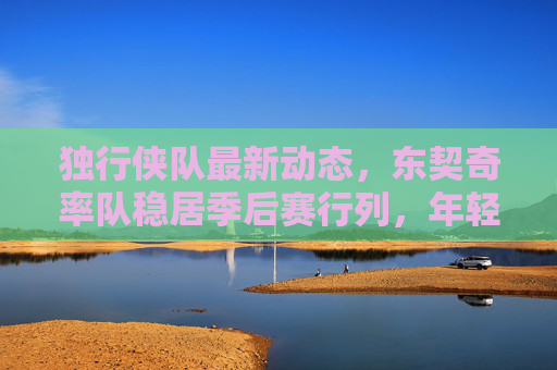 独行侠队最新动态，东契奇率队稳居季后赛行列，年轻球员成关键拼图，东契奇率独行侠稳居季后赛，年轻球员成关键拼图