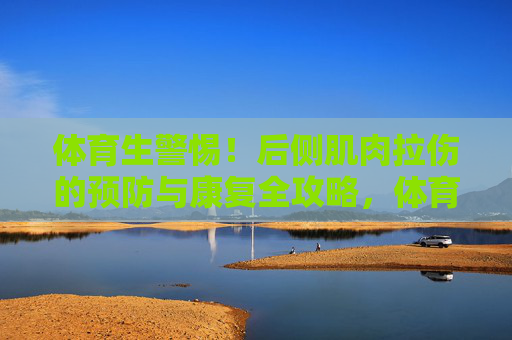 体育生警惕！后侧肌肉拉伤的预防与康复全攻略，体育生警惕！后侧肌肉拉伤的预防与康复全攻略
