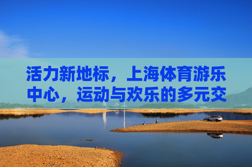 活力新地标，上海体育游乐中心，运动与欢乐的多元交响，活力新地标上海体育游乐中心，运动与欢乐的多元交响