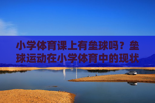 小学体育课上有垒球吗？垒球运动在小学体育中的现状与意义，垒球运动在小学体育课中的现状与意义
