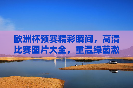 欧洲杯预赛精彩瞬间,高清比赛图片大全,重温绿茵激情,欧洲杯预赛精彩瞬间,高清图片大全重温绿茵激情 欧洲杯预赛精彩瞬间,高清比赛图片大全,重温绿茵激情,欧洲杯预赛精彩瞬间,高清图片大全重温绿茵激情