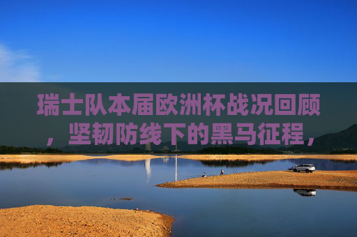 瑞士队本届欧洲杯战况回顾，坚韧防线下的黑马征程，瑞士欧洲杯黑马征程，坚韧防线下的征途