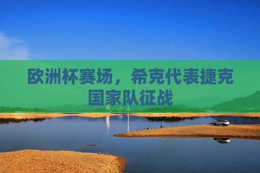 欧洲杯赛场,希克代表捷克国家队征战 欧洲杯赛场,希克代表捷克国家队征战