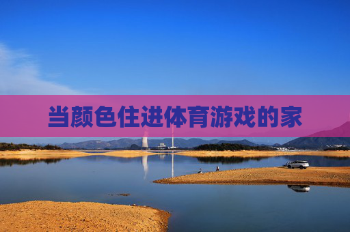 当颜色住进体育游戏的家