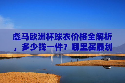 彪马欧洲杯球衣价格全解析,多少钱一件?哪里买最划算? 彪马欧洲杯球衣价格全解析,多少钱一件?哪里买最划算?