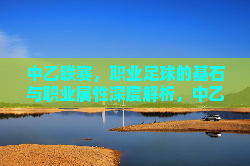中乙联赛，职业足球的基石与职业属性深度解析，中乙联赛，职业足球基石与职业属性深度解析