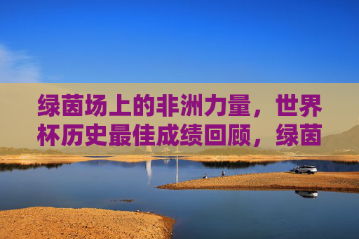 绿茵场上的非洲力量，世界杯历史最佳成绩回顾，绿茵场上的非洲力量，世界杯历史最佳成绩回顾