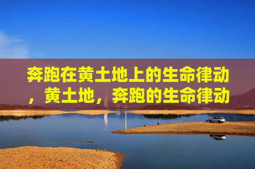 奔跑在黄土地上的生命律动,黄土地,奔跑的生命律动 奔跑在黄土地上的生命律动,黄土地,奔跑的生命律动