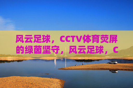风云足球，CCTV体育荧屏的绿茵坚守，风云足球，CCTV体育荧屏的绿茵坚守
