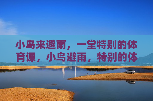 小鸟来避雨,一堂特别的体育课,小鸟避雨,特别的体育课 小鸟来避雨,一堂特别的体育课,小鸟避雨,特别的体育课
