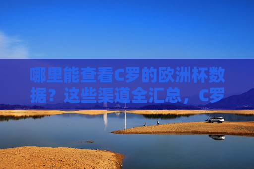 哪里能查看C罗的欧洲杯数据?这些渠道全汇总,C罗欧洲杯数据查看渠道全汇总 哪里能查看C罗的欧洲杯数据?这些渠道全汇总,C罗欧洲杯数据查看渠道全汇总