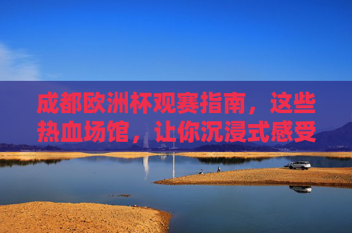 成都欧洲杯观赛指南，这些热血场馆，让你沉浸式感受足球魅力！成都欧洲杯观赛指南，热血场馆沉浸式感受足球魅力