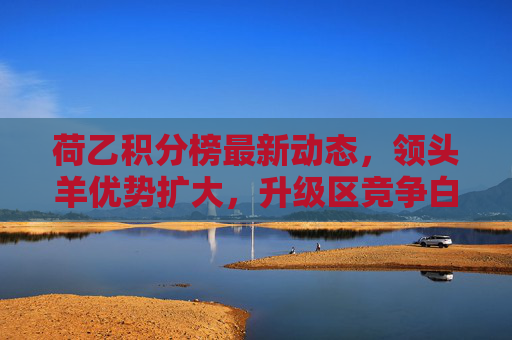 荷乙积分榜最新动态，领头羊优势扩大，升级区竞争白热化，荷乙积分榜，领头羊优势扩大，升级区竞争白热化