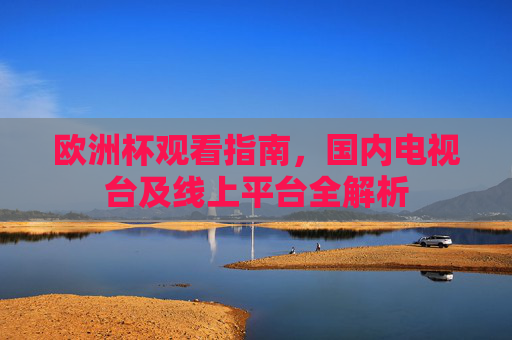 欧洲杯观看指南，国内电视台及线上平台全解析