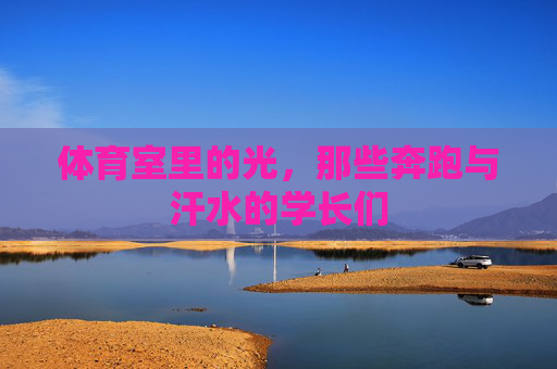 体育室里的光，那些奔跑与汗水的学长们