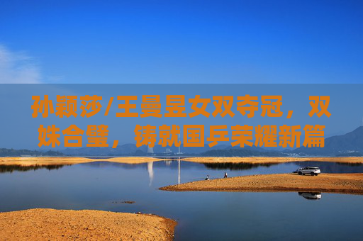 孙颖莎/王曼昱女双夺冠，双姝合璧，铸就国乒荣耀新篇章，孙颖莎王曼昱双姝合璧 女双夺冠铸就国乒荣耀新篇章