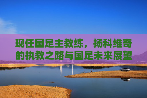 现任国足主教练，扬科维奇的执教之路与国足未来展望，扬科维奇执教之路与国足未来展望